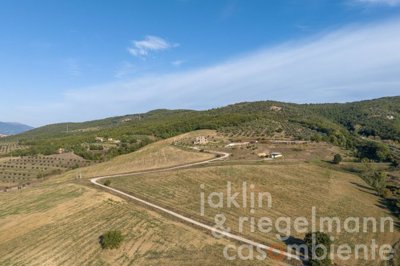 6536851fbb465m410113