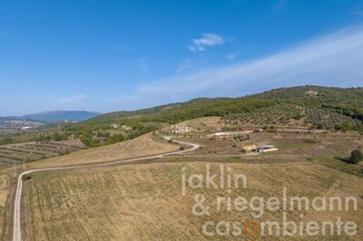 65368516b88bfm410114