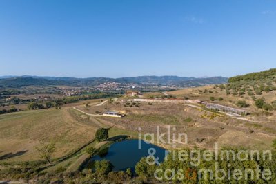 6536858085929m410102