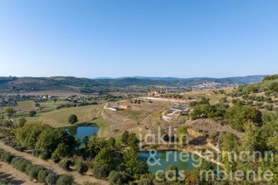 6536856bcacf9m410103