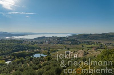 6536858802166m410105