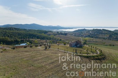 6536855204503m410108