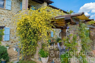 6638cfc936183m41081011