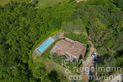 665da13656766m411010