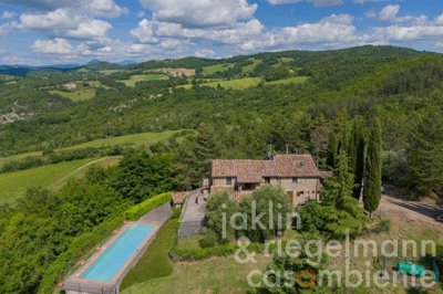 665da1c7337d9m411006