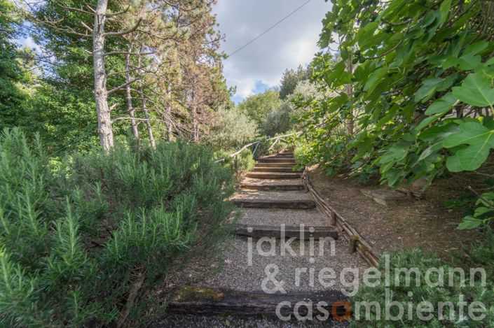 Image No.38-5 Bed Country House for sale