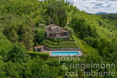 665da1aea8555m411002