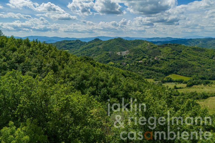 Image No.6-5 Bed Country House for sale