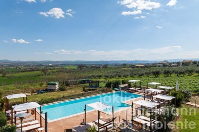 66055d862f7d7m411210