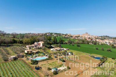 66055daa6ed65m411215