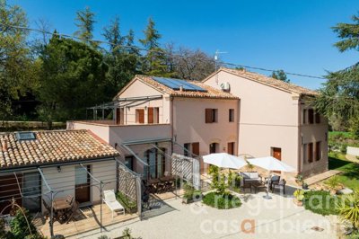 66055d4a62ebfm411204