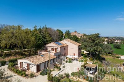 66055d513819bm411205