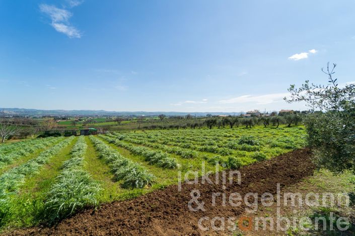 Image No.53-14 Bed Farmhouse for sale