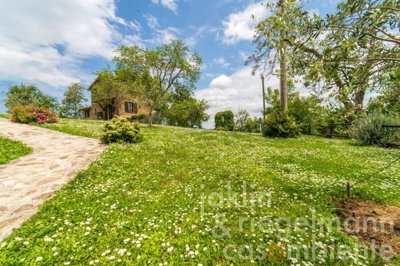 666088a800a66m414212