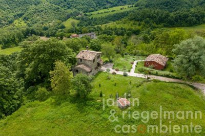 666088cd0ea23m414206