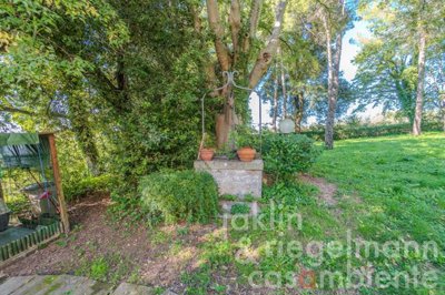 6798f82840128m417310