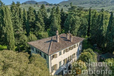 6798f8540c339m417305