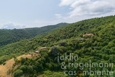 685b9efc8d379m419010