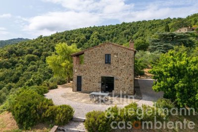 685b9f5d5b6c9m419013