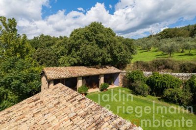 68caca7ec9cd5m419310