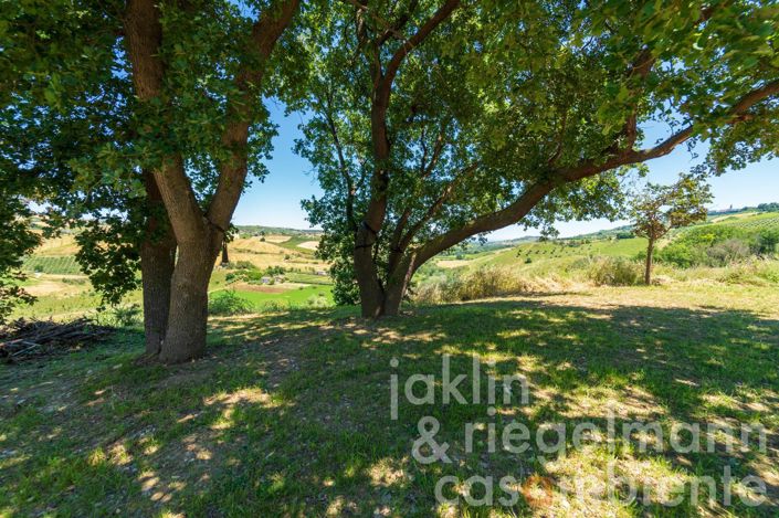 Image No.31-8 Bed Country House for sale