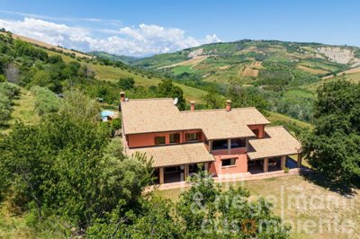 683ff36a165e4m420505