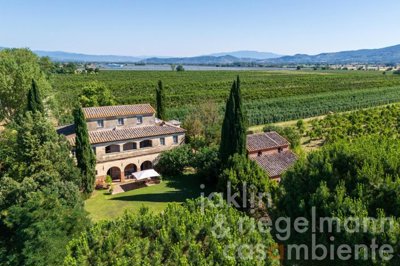 6866adfd62a00m423802