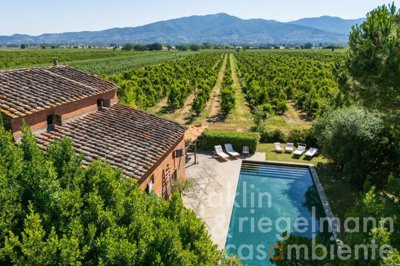 6866ae6396212m423807