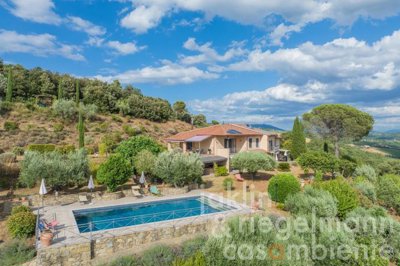 687e6177d0d7cm424010