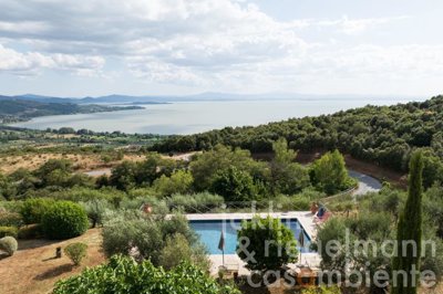 687e6159ec841m424014