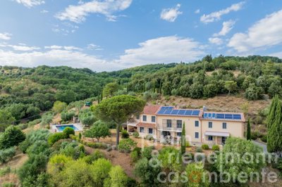 687e61ca88ca1m424002