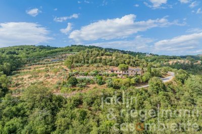 687e619c87b81m424005