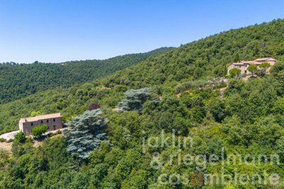 685bd0847fe2em429009