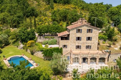 684c056a41226m660903