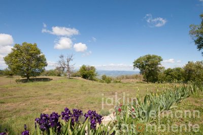 67b893ae0fd82m272514