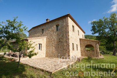 67b893a4cc9edm272507