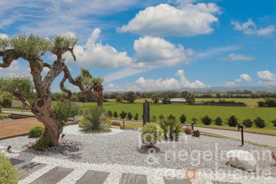 65832c0c43ccbm410905