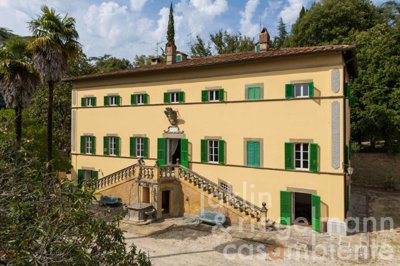 68651530b8426m362102