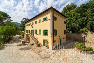 686515b9161cfm362109