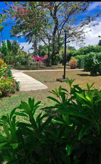 Image No.32-1 Bed Apartment for sale