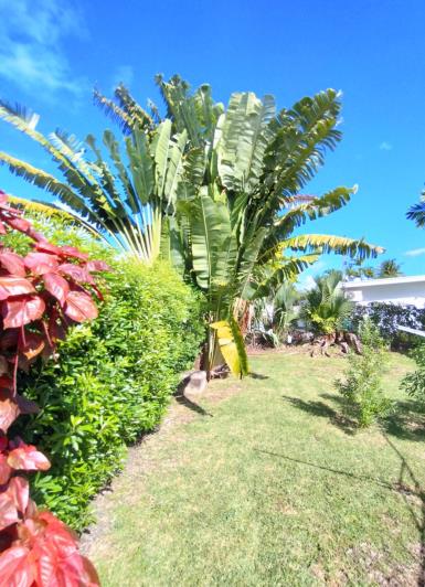 Image No.35-1 Bed Apartment for sale