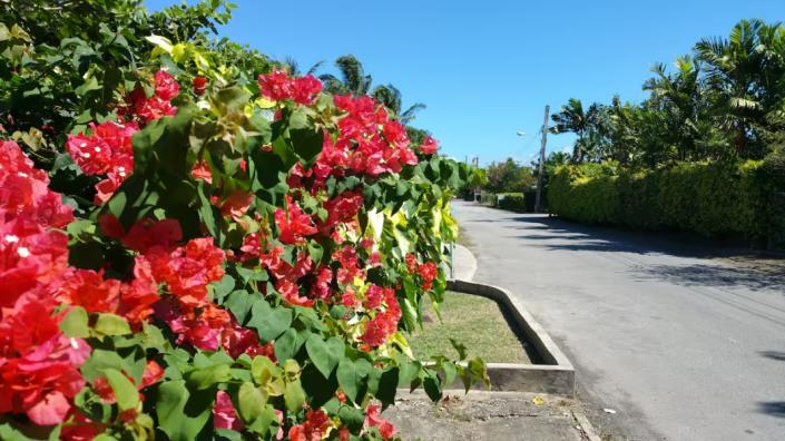 Image No.30-1 Bed Apartment for sale