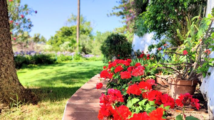 Image No.17-6 Bed Villa for sale