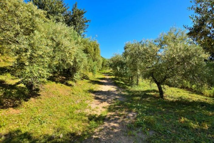 Image No.21-5 Bed Country House for sale