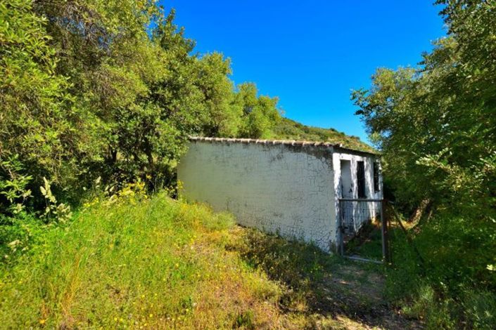 Image No.27-5 Bed Country House for sale