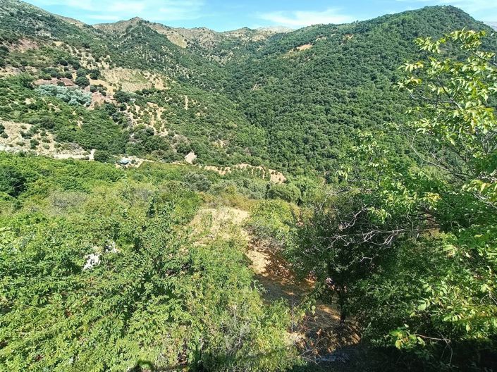 Image No.3-2 Bed Country House for sale