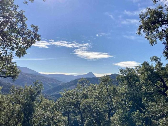 Image No.11-3 Bed Property for sale