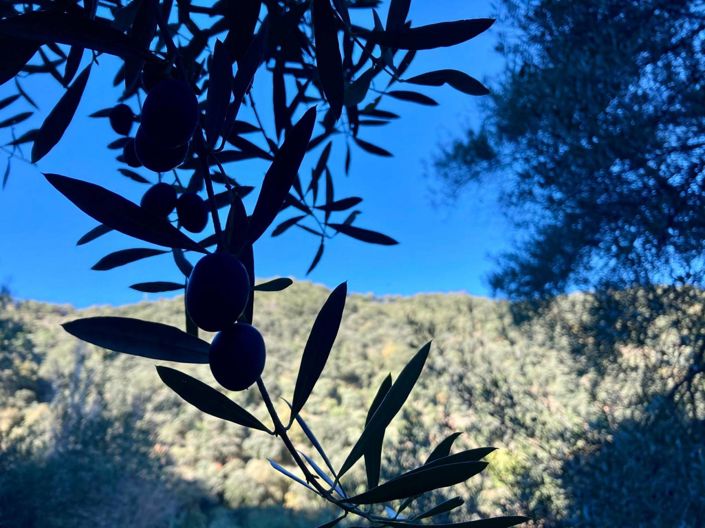 Image No.14-3 Bed Property for sale