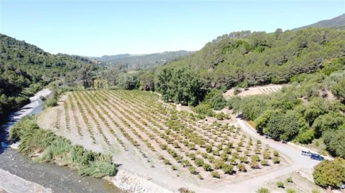 Image No.37-10 Bed Property for sale