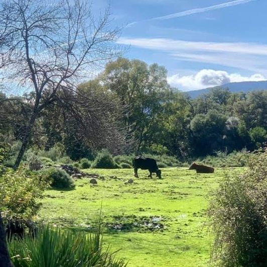 Image No.32-2 Bed Village House for sale